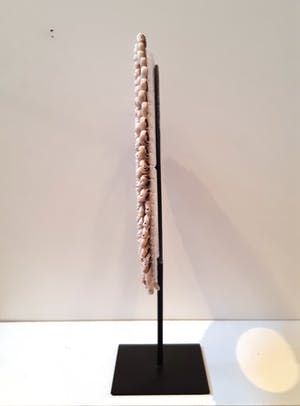 Nieuw-Guinea - Schelpenketting kopen? Bied vanaf 25!