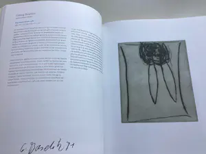 Diverse kunstenaars - Caldic Collection - ARTISTS’ BOOKS ( Ned. Uitgave) kopen? Bied vanaf 50!