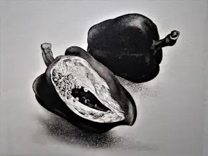 Dick Stolwijk - Fraai gedetailleerde eigen druk Ets "paprika's" oplage 50 - potloodgesigneerd kopen? Bied vanaf 1!