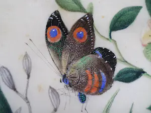 Niet of onleesbaar gesigneerd - Vlinder in bloemenpartij kopen? Bied vanaf 1!