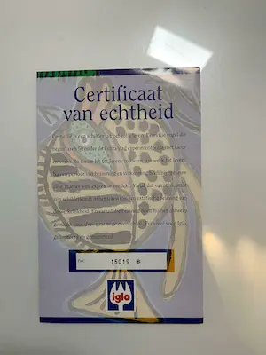 Corneille - vis / ovenschaal kopen? Bied vanaf 55!