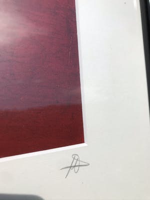 Natacha Pirnay - Belle du Jour kopen? Bied vanaf 1!