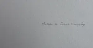 Antoine de Saint-Exupery - LOT 5 STUKS / LE PETIT PRINCE / KLEURLITHO / 40x31cm / DROOGSTEMPEL kopen? Bied vanaf 85!