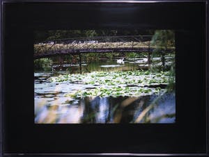 Paul Huf - Foto, Vijver met lelies en zwanen - Ingelijst kopen? Bied vanaf 1!