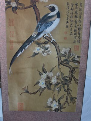 Niet of onleesbaar gesigneerd - Japanse of Chinese scroll, “Vogel op tak” - Aquarelverf en inkt op papier kopen? Bied vanaf 1!