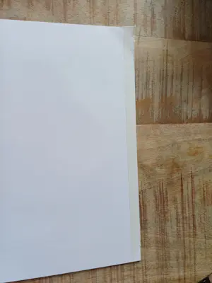 Toon Tieland - O.a. twee nonnen kopen? Bied vanaf 50!