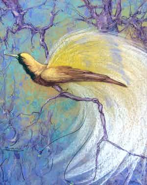 Albert Klein Sprokkelhorst - Paradijsvogel verkocht voor € 115!