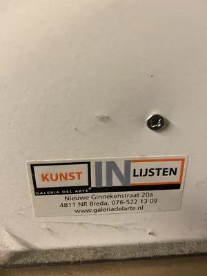 Gerdine Duijsens-Kroeze - Dress to Impress kopen? Bied vanaf 1250!