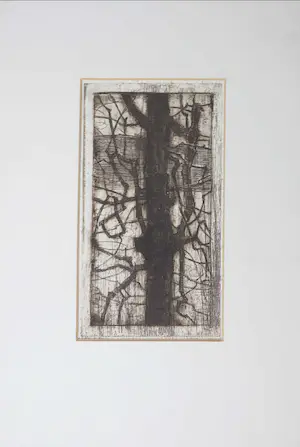 Wim Steijn - Ets, Boom kopen? Bied vanaf 1!