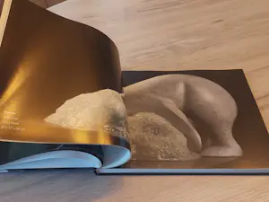 Mark Dedrie - Art in nature - Bronze sculptures - gesigneerd kopen? Bied vanaf 20!