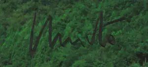 Christo - C-Print, The Umbrellas kopen? Bied vanaf 1!