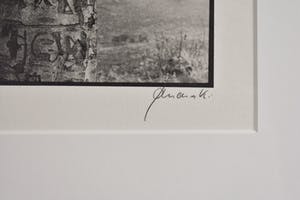 Ralph Janowski - Bomen kopen? Bied vanaf 1!