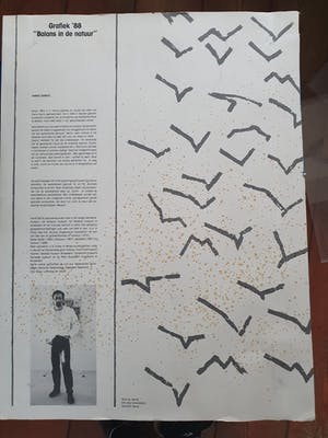 Harrie Gerritz - Balans in de natuur kopen? Bied vanaf 20!