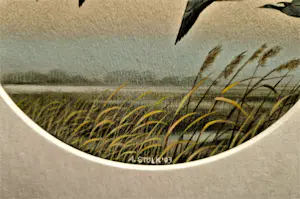 Ari Stolk - Fraaie realistische gouache - "wilde eenden bij zomeravond" - gesigneerd - 1983 kopen? Bied vanaf 78!