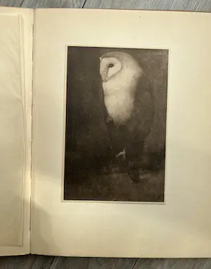 Jan Mankes - Oeuvre Boek uit 1927 kopen? Bied vanaf 850!