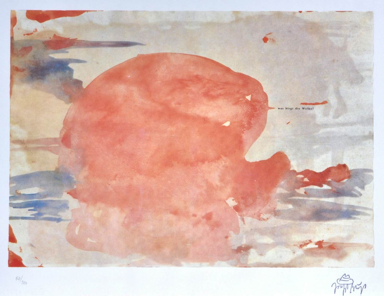 Joseph Beuys - Was birgt die Wolke? - Offset - Signatuurstempel - N° 50/300 - 1979 kopen? Bied vanaf 250!