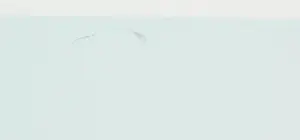 Arty Grimm - Zeefdruk, Zonder titel kopen? Bied vanaf 40!