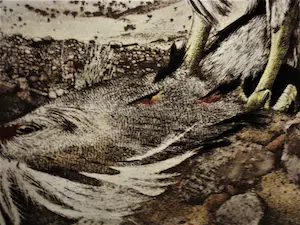 Timothy John Greenwood - gelauwerde Brits graficus - "Havik en prooi" - ETS & aquatint - oplage 100 kopen? Bied vanaf 42!