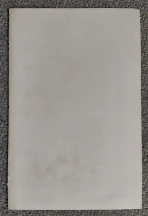 Louis Legrand - Flore Artificielle kopen? Bied vanaf 35!