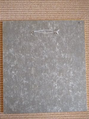 Harm Kamerlingh Onnes - Zonaanbidster in de trein kopen? Bied vanaf 200!