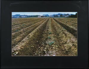 Paul Huf - Digitale print, Zonder titel - Ingelijst kopen? Bied vanaf 1!
