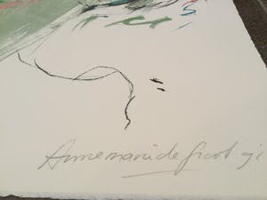 Annemarie de Groot - Subtiel naakt | Groot formaat zeefdruk kopen? Bied vanaf 35!