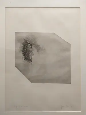 Jan Haas - Kubus kopen? Bied vanaf 45!