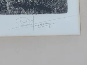 Antoon Torrekens - Bloei kopen? Bied vanaf 20!