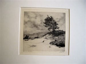 Dirk Harting - Meesterlijk Etser - Willink van Collenprijs 1913 - "Duinlandschap" gesigneerd kopen? Bied vanaf 10!