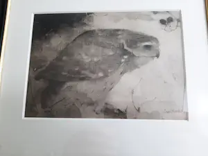Jan Mankes - Heliogravure " Roofvogeltje op tak " kopen? Bied vanaf 120!