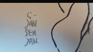 Geert Jan Jansen - Schilder & Kunstvervalser -potloodgesigneerde Litho Matisse "femme séduisante " kopen? Bied vanaf 30!