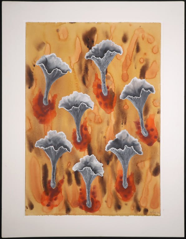 Mareike Geys - Mareike Geys: Aquarel, Brandplekcantharellen (Groot) kopen? Bied vanaf 35!