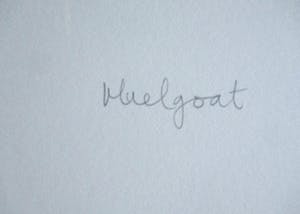 Joyce Bloem - Muelgoat kopen? Bied vanaf 30!