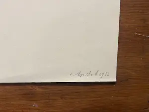 Ap Sok - Olijven kopen? Bied vanaf 40!