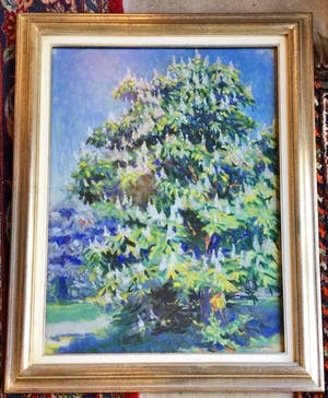 Pal Bor - C3427-7, Kastanjeboom kopen? Bied vanaf 200!