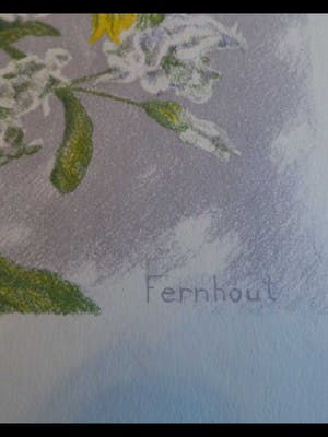 Edgar Fernhout - Bloemstilleven kopen? Bied vanaf 20!