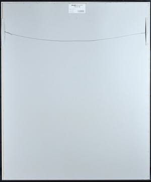 Willem van Scheijndel - Hakuna Matata kopen? Bied vanaf 1!