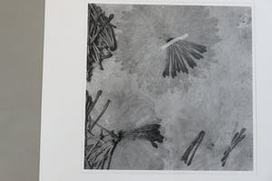 Paul den Hollander - zonder titel kopen? Bied vanaf 25!