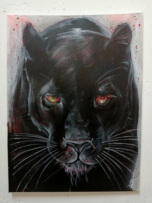 Niet of onleesbaar gesigneerd - Zwarte Panter kopen? Bied vanaf 1!