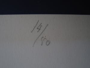 Rob Schotman - Collectie Amsterdams Grafisch Atelier - gesigneerde Pop-Art Litho "Afgeschermd" kopen? Bied vanaf 10!