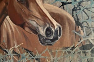 Valentin Bakardjiev - Horse - In onnavolgbare fluweelzachte kleurstelling - Nieuwwaarde €4.500,- kopen? Bied vanaf 1!