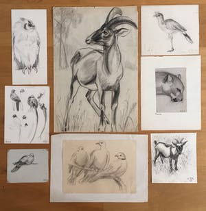 Engelien Reitsma-Valenca - Acht tekeningen van dieren in potlood of zwart krijt kopen? Bied vanaf 50!