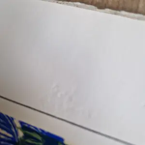 Rob Kars - Stad op Stelten kopen? Bied vanaf 25!