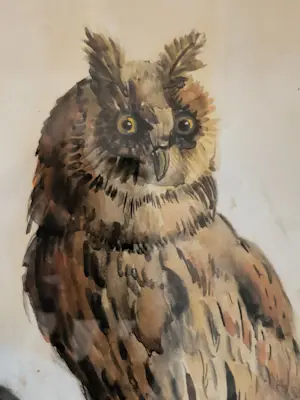 Tijmen Moll - Portret van een uil kopen? Bied vanaf 125!