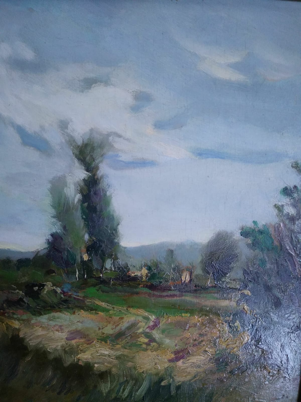 Niet of onleesbaar gesigneerd - J. Alemany- duinlandschap- olieverf op doek verkocht voor € 1!