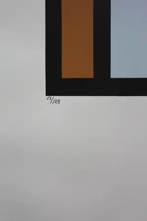 Guy Vandenbranden - Kleurrijke zeefdruk: Cathedrale de la lumiere - 1999 kopen? Bied vanaf 225!