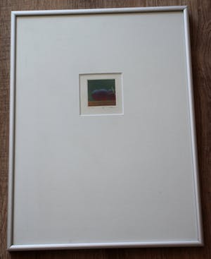 Joop Vegter - Ingelijste ets: Drie druiven - 1995 kopen? Bied vanaf 100!