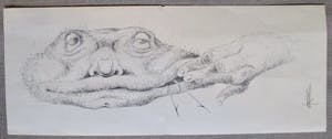 Melle Oldeboerrigter - Litho kopen? Bied vanaf 30!