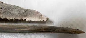 Willy van Blokland - geen titel kopen? Bied vanaf 25!