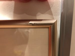 Wil Wiegant - 2x Gouache-Litho kopen? Bied vanaf 95!